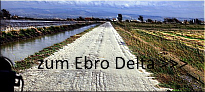 Ebro Delta Link